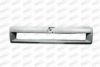 FIAT 110675099 Radiator Grille